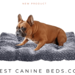 Amazon Basics Dog Bed