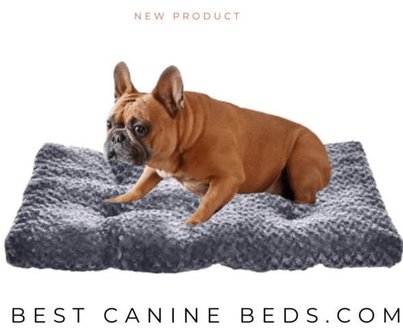 Amazon Basics Dog Bed