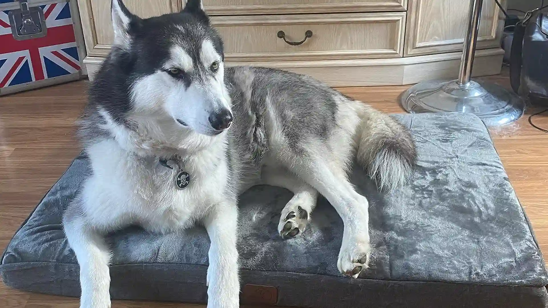 Bedsure Memory Foam Dog Bed