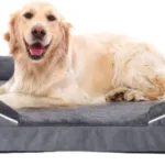 Afoddon dog bed