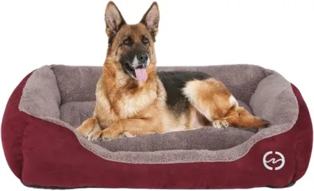 fristone dog beds 