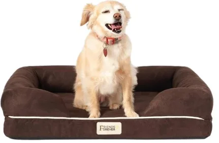 Friends Forever dog bed