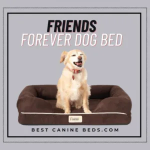 Friends Forever dog bed