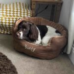 Bunty Polar Dog Bed