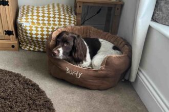 Bunty Polar Dog Bed