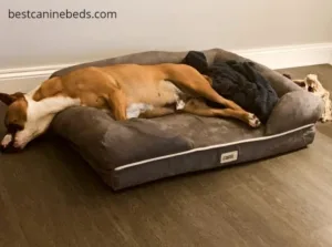 Friends Forever dog bed