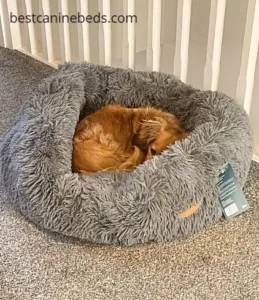 Silentnight Dog Bed