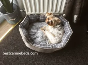 petface grey check dog bed