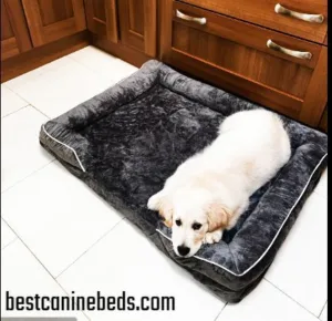 Afoddon dog bed