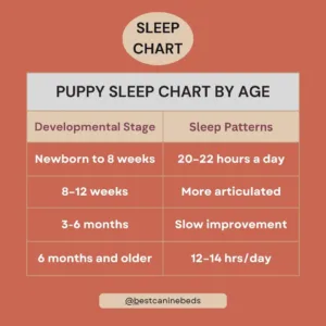 puppy sleep chart by age