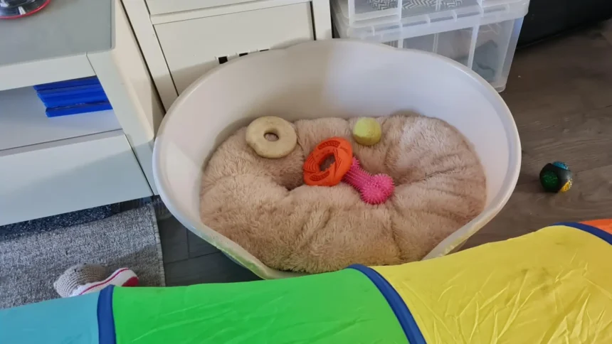 are plastic dog beds good